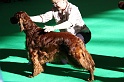 Crufts2011 083